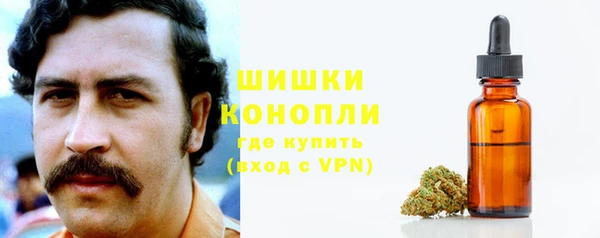 ГАЛЛЮЦИНОГЕННЫЕ ГРИБЫ Сатка