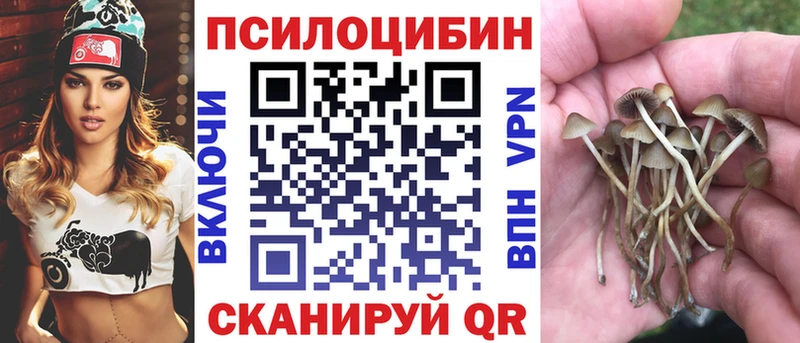 Псилоцибиновые грибы Psilocybine cubensis  цена наркотик  KRAKEN ссылка  Асбест 